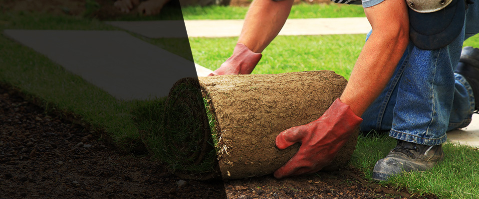 Duncanville Landscapers